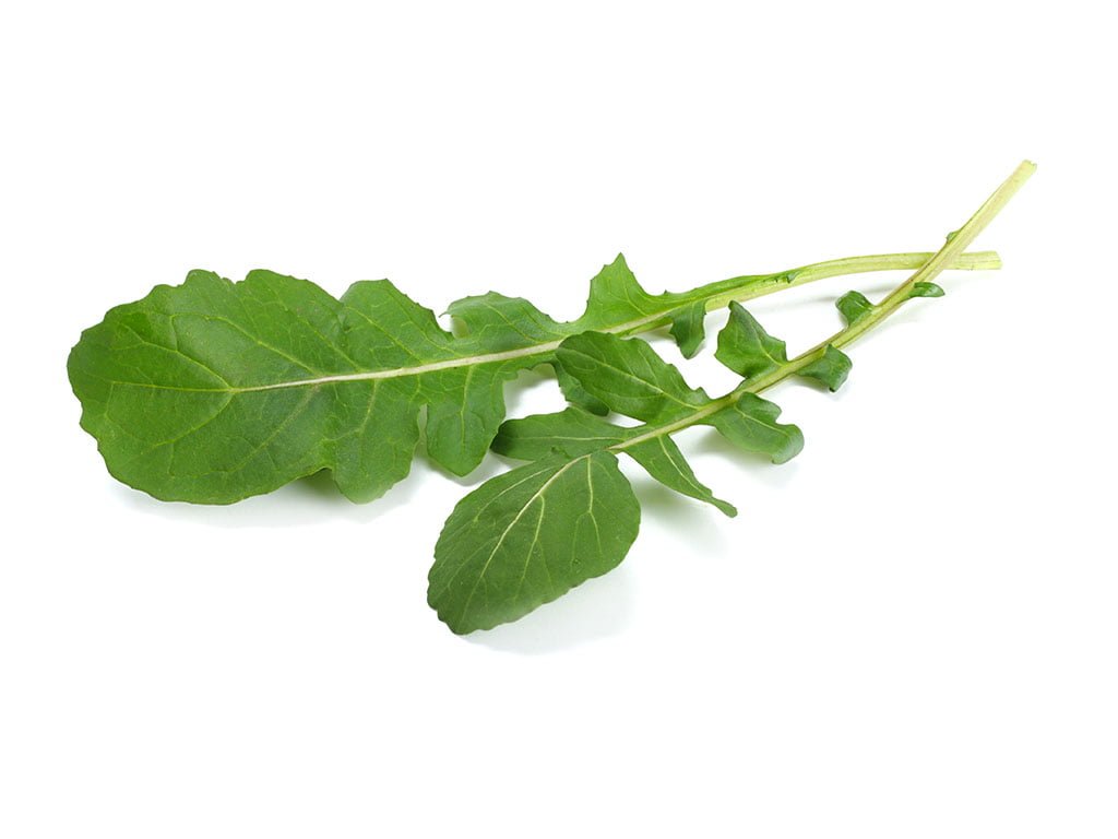 SEMILLA RÚGULA ROQUETTE