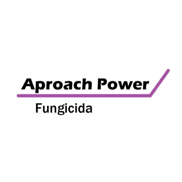 FUNGICIDA PICOXYSTROBIN APROACH POWER