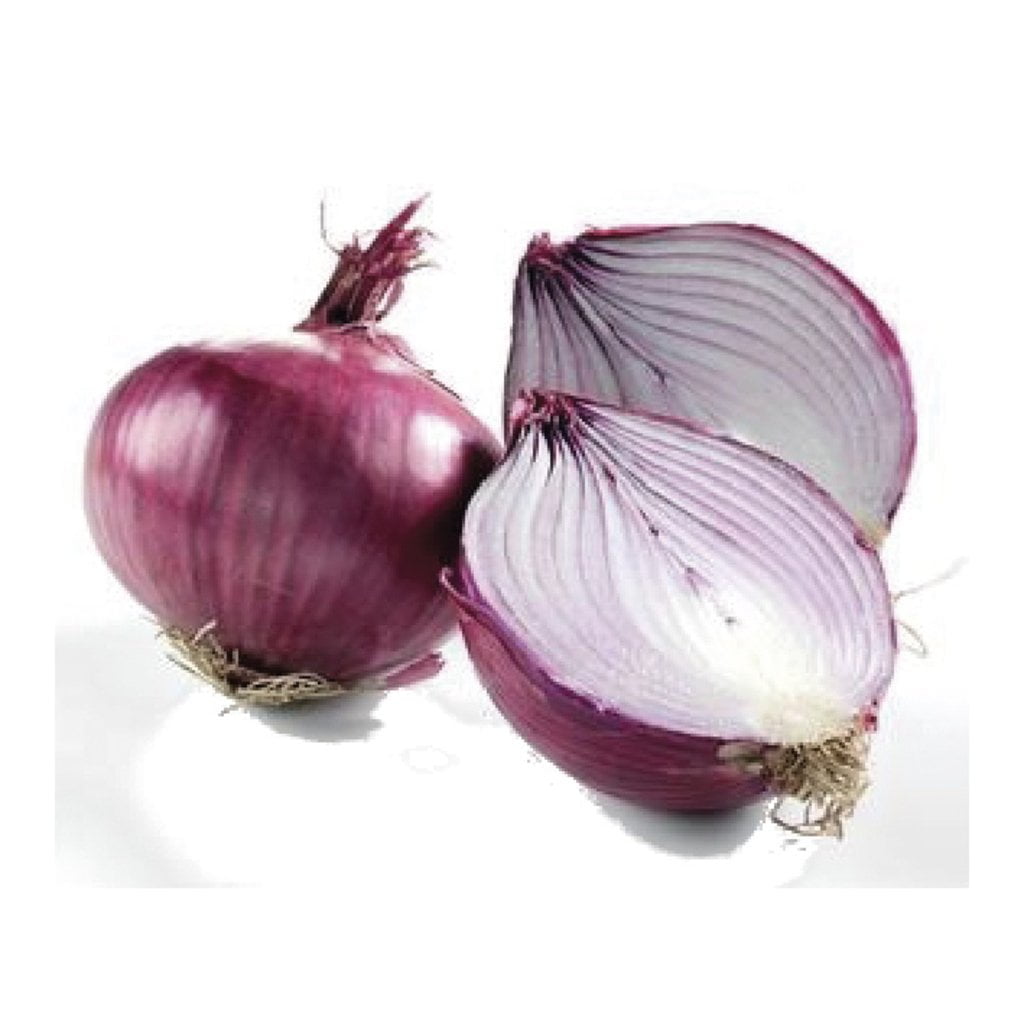 CEBOLLA FRANCISCA F1