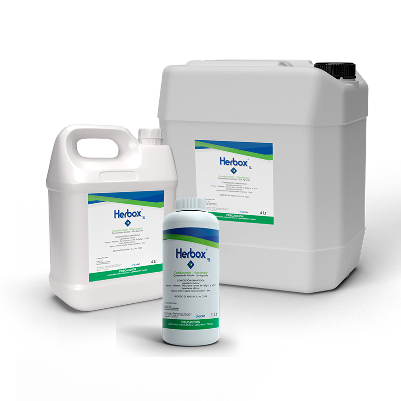 COADYUVANTE HIPOTENSOR HERBOX SL