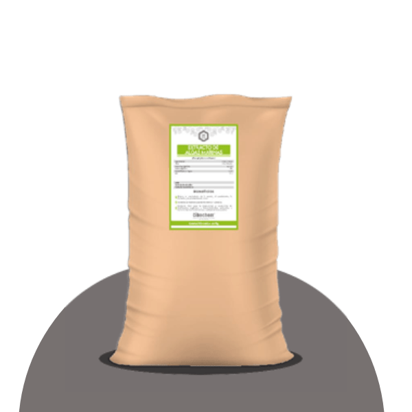 EXTRACTO DE ALGAS MARINAS ASCOPHULLUM NODOSUM