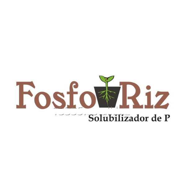 SOLUBILIZADOR DE P FOSFORIZ (Pseudomonas fluorescens)