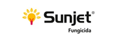 Sunjet® Insecticida Sistémico Spirotetramat