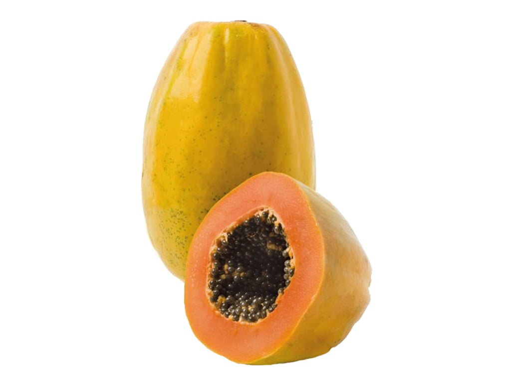 SEMILLA DE PAPAYA INTENZZA F1