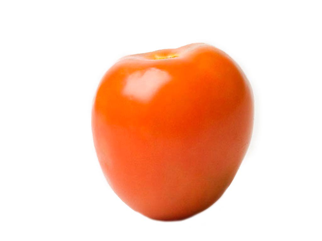 SEMILLA TOMATE GEM 604 F1