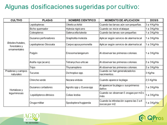 ALGAS NATURALES DIATOMEAS DIATOMIX - 3kg