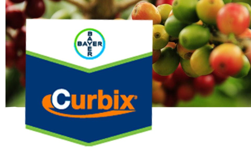 INSECTICIDA ETHIPROLE IMIDACLOPRID CURBIX SC 200