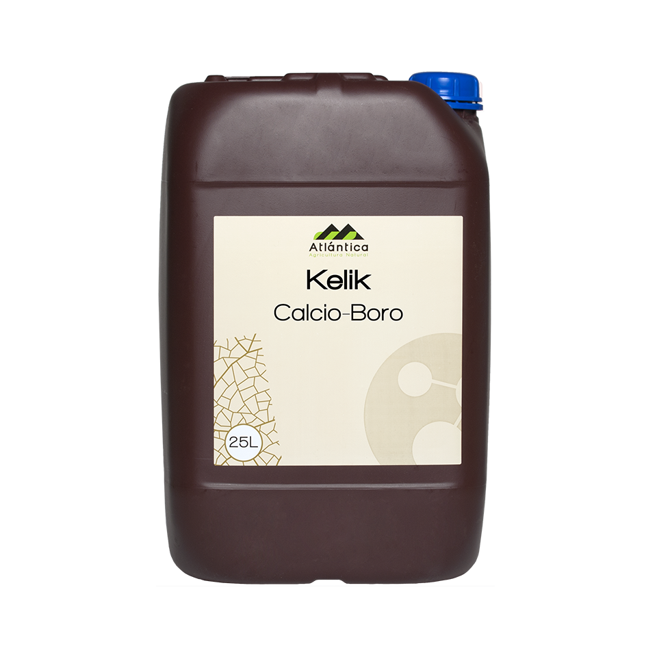 KELIK CALCIO-BORO