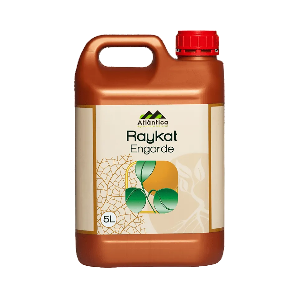BIOESTIMULANTE RAYKAT ENGORDE