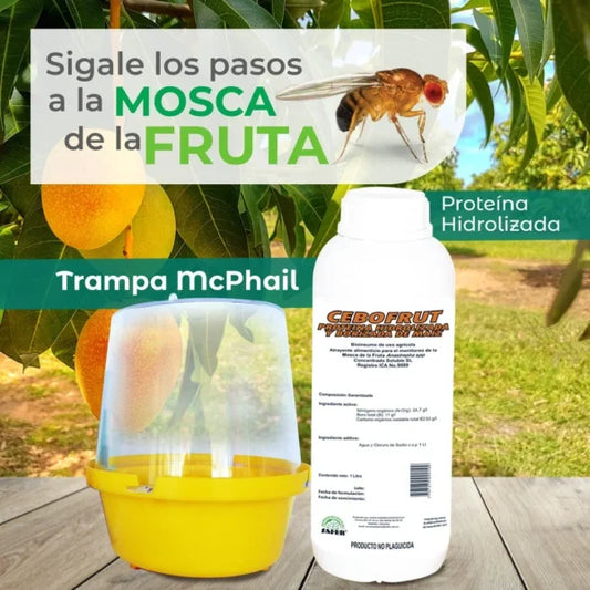 Técnicas de monitoreo de plagas y enfermedades en cultivos agrícolas