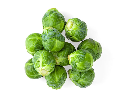 SEMILLA REPOLLITAS BRIGITTE F1