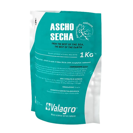 BIOESTIMULANTE ASCHO SECHA