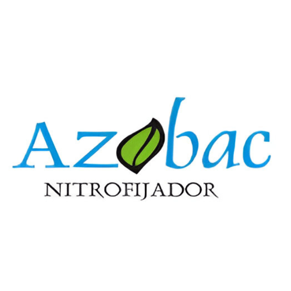 FIJADOR DE NITROGENO AZOBAC (Azotobacter chroococcum)