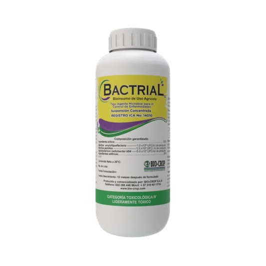 BACILLUS AMYLOLIQUEFACIENS BACTRIAL SC