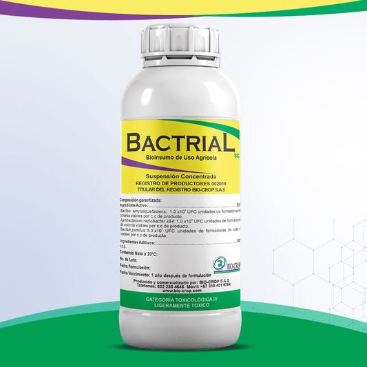 BACILLUS AMYLOLIQUEFACIENS BACTRIAL SC