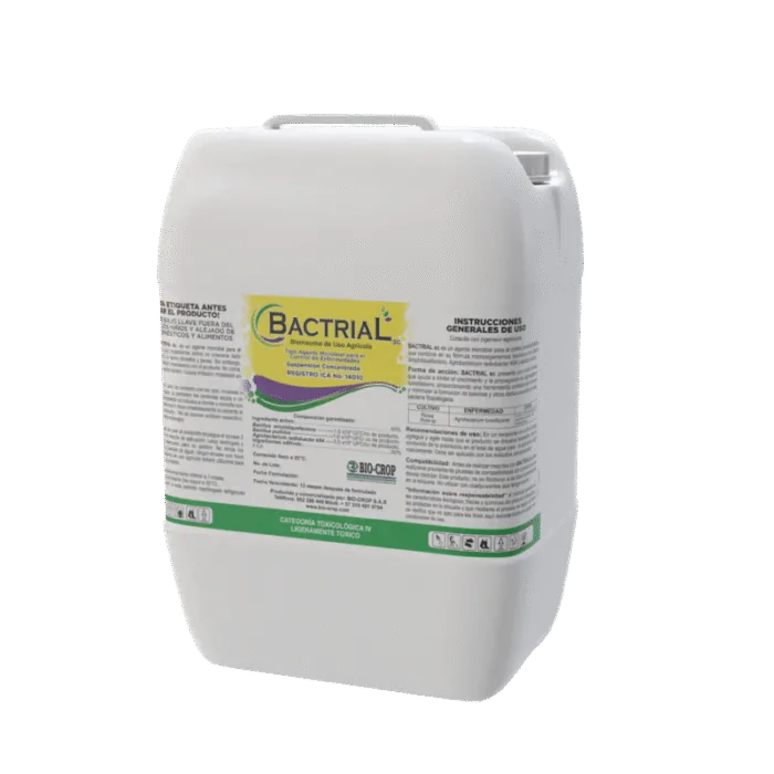 BACILLUS AMYLOLIQUEFACIENS BACTRIAL SC