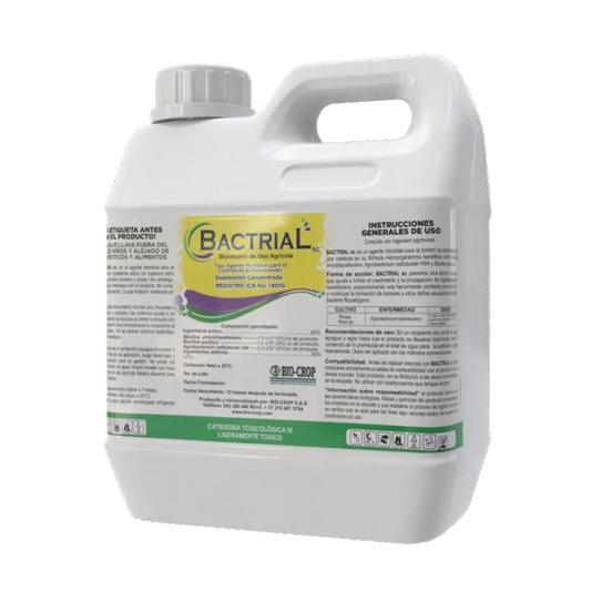 BACILLUS AMYLOLIQUEFACIENS BACTRIAL SC