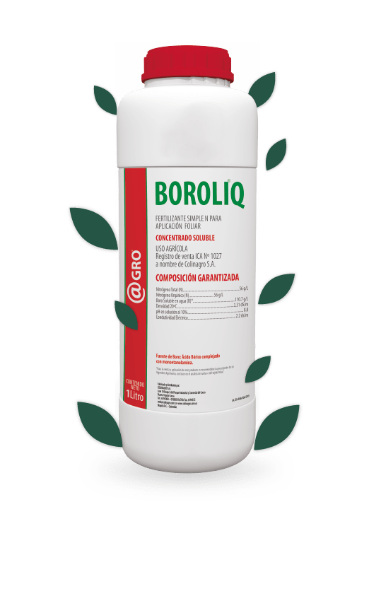 FERTILIZANTE FOLIAR BOROLIQ