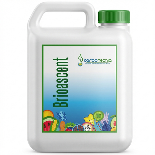 CALCIO COMPLEJADO Y BORO BRIOASCENT