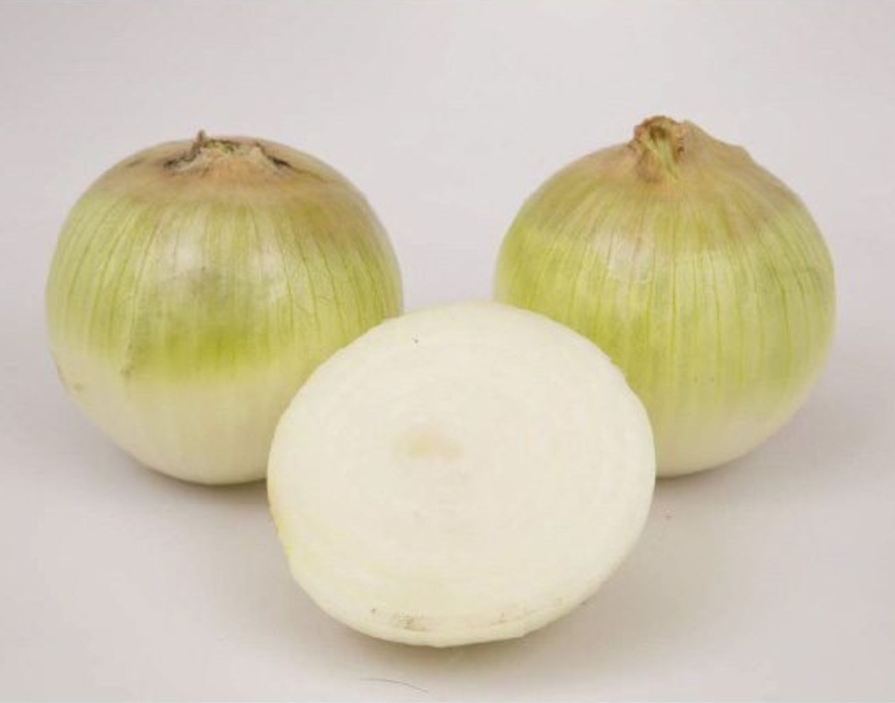 CEBOLLA DON VICTOR F1