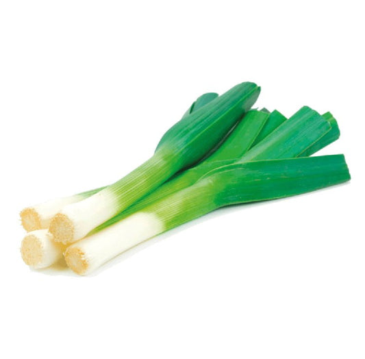 CEBOLLA PUERRO AMERICAN FLAG