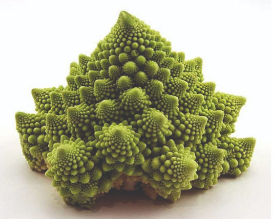 COLIFLOR NAVONA F1