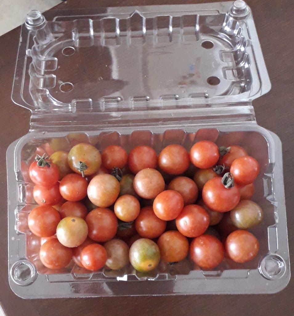 ENVASE PARA FRUTAS Y HORTALIZAS - 125gr