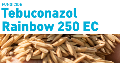 FUNGICIDA TEBUCONAZOL RAINBOW 250 EC