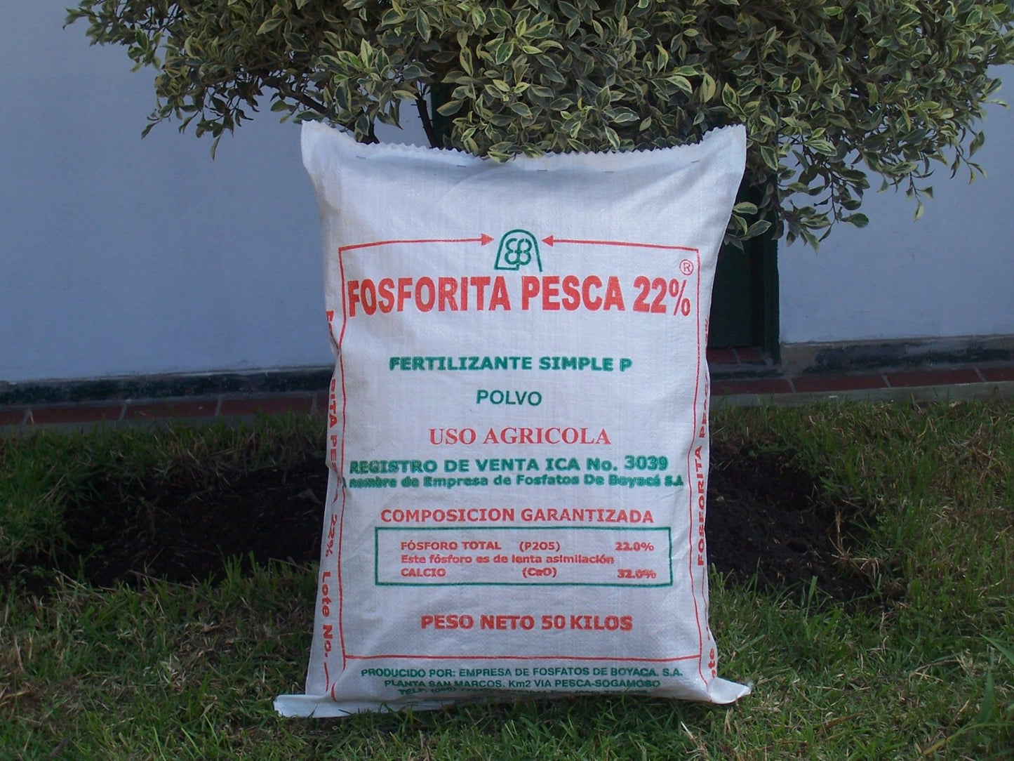 ROCA FOSFÓRICA FOSFORITA PESCA - 26%