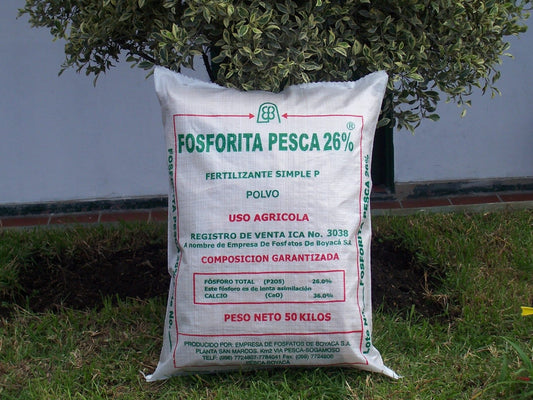 ROCA FOSFÓRICA FOSFORITA PESCA