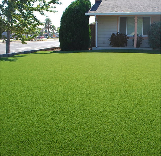 SEMILLA BERMUDA GRASS