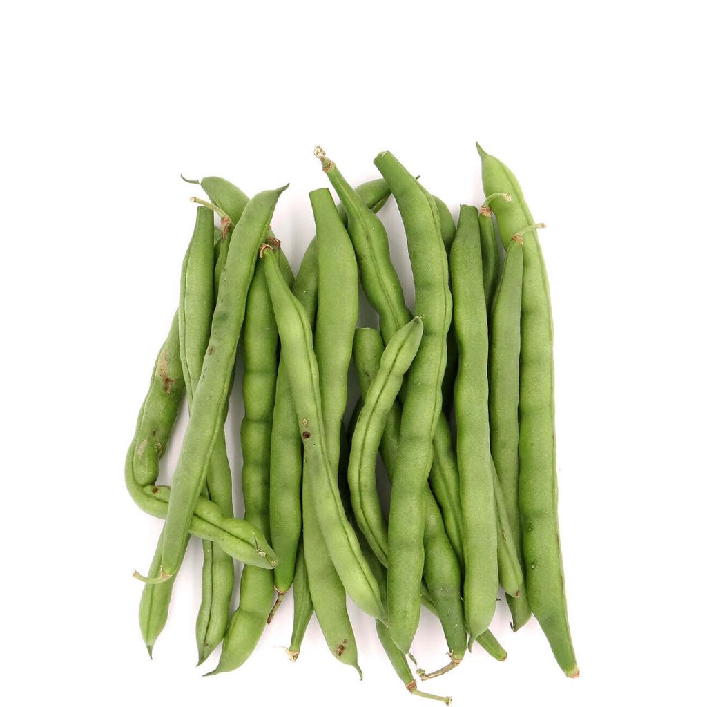 HABICHUELA BLUE LAKE POLE