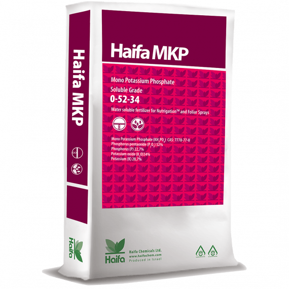 FERTILIZANTE HAIFA MKP 0-52-34