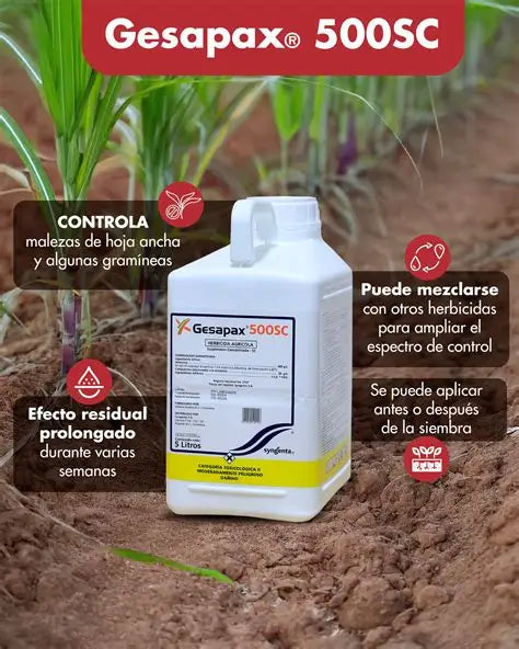 Gesapax Herbicida