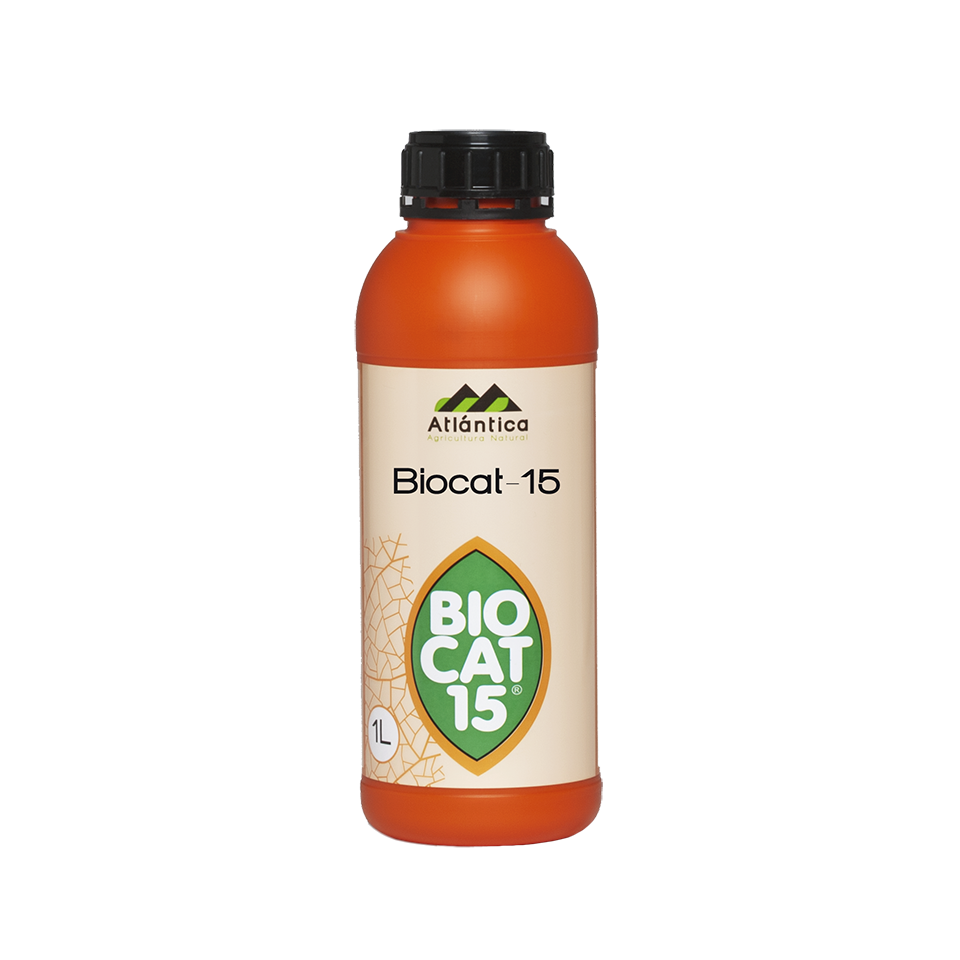 Activador Líquido Biocat-15