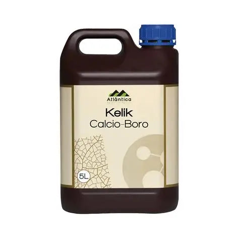 KELIK CALCIO-BORO