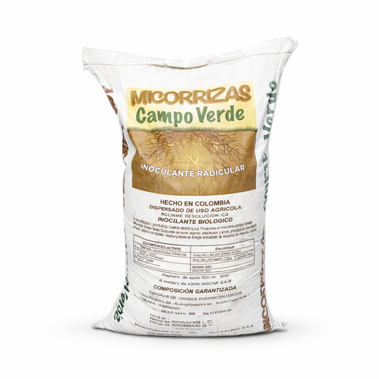 MICORRIZAS HONGOS DEL SUELO 