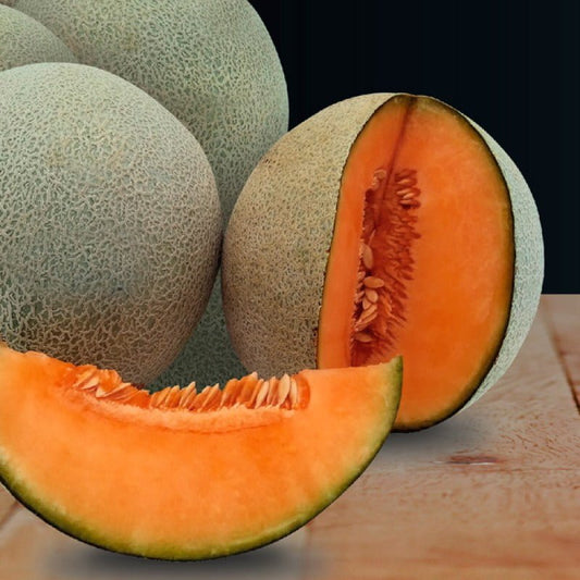 MELÓN BUKI F1