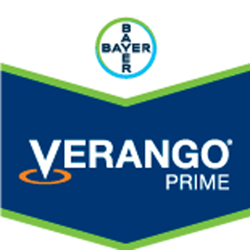NEMATICIDA FLUOPYRAM VERANGO PRIME SC 500