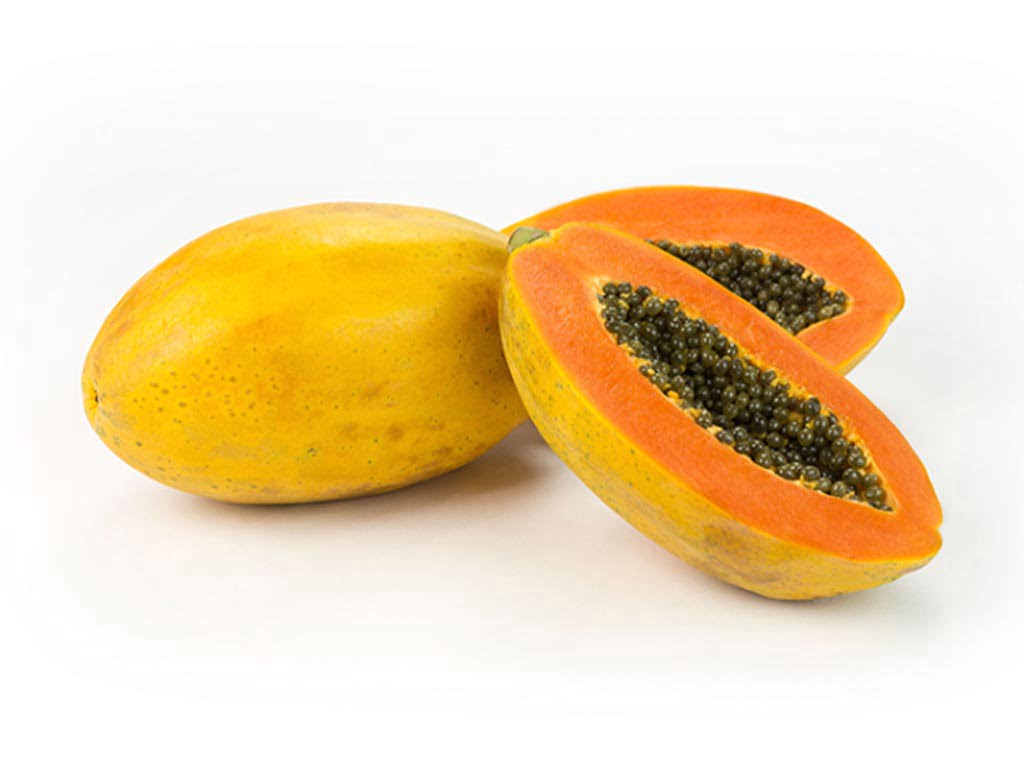 SEMILLA PAPAYA BABY LUVE F1