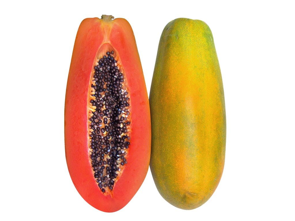 SEMILLA PAPAYA PAULINA F1