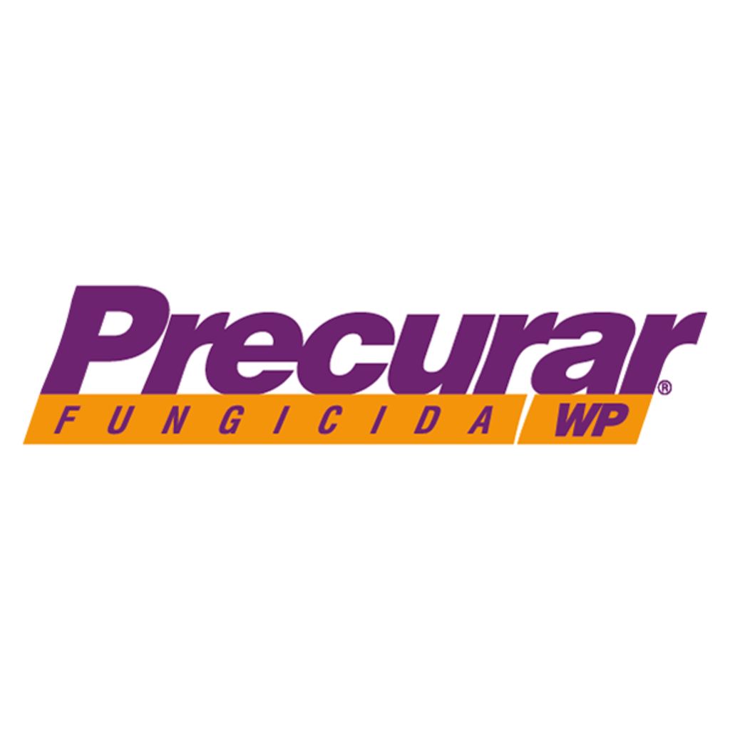 FUNGICIDA QUÍMICO CIMOXANIL PRECURAR WP