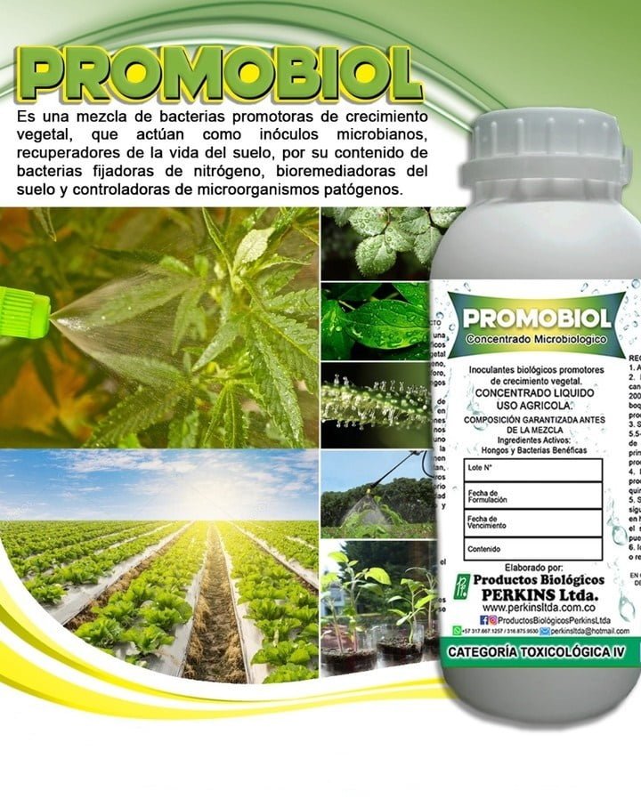 MEZCLA DE MICROORGANISMOS PROMOBIOL