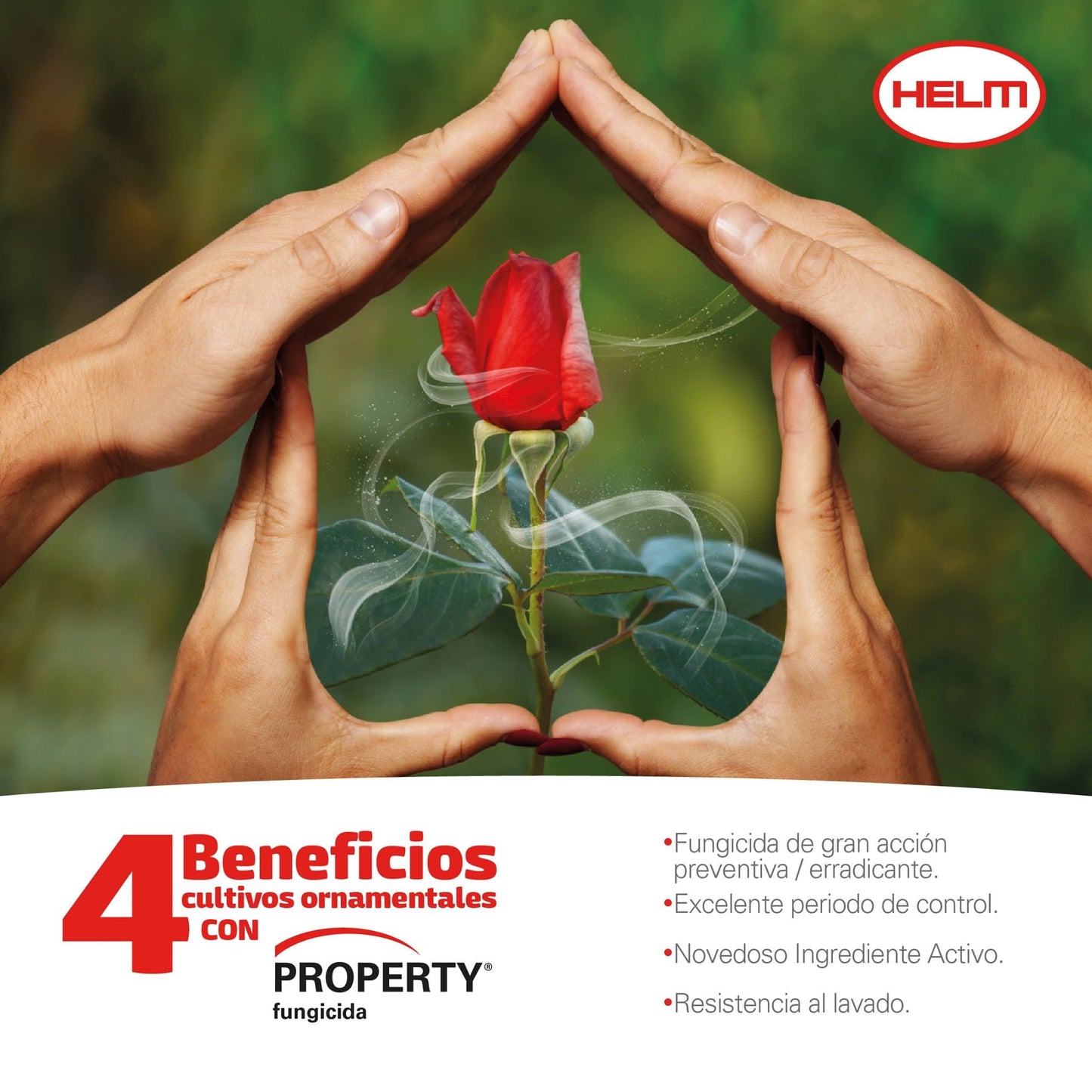 PYRIOFENONE PROPERTY 300 SC