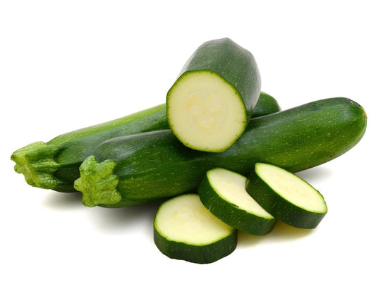 SEMILLA CALABACIN DYNASTY F1