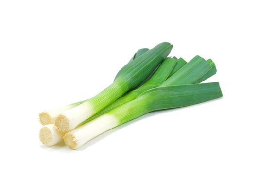 SEMILLA CEBOLLA DE PUERRO AUTORA F1