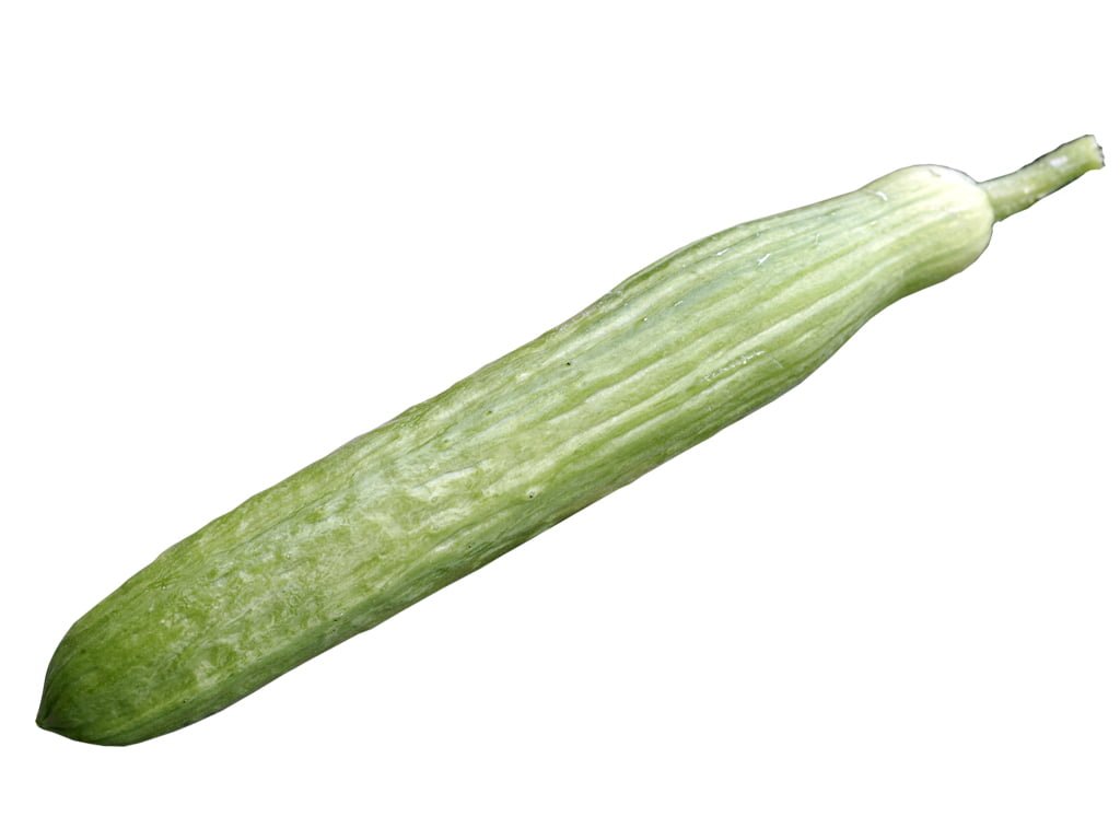 SEMILLA PEPINO FLANDERS F1