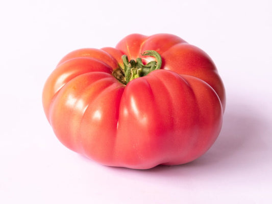 SEMILLA TOMATE MARPINK F1