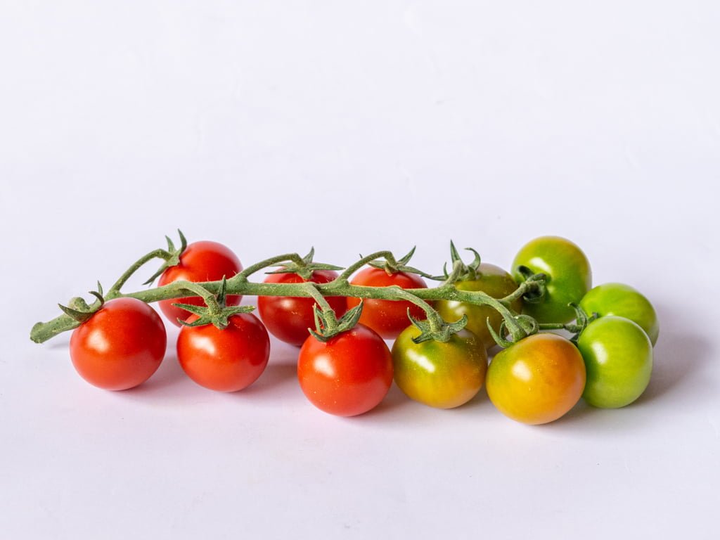 SEMILLA TOMATE PAMPINI F1