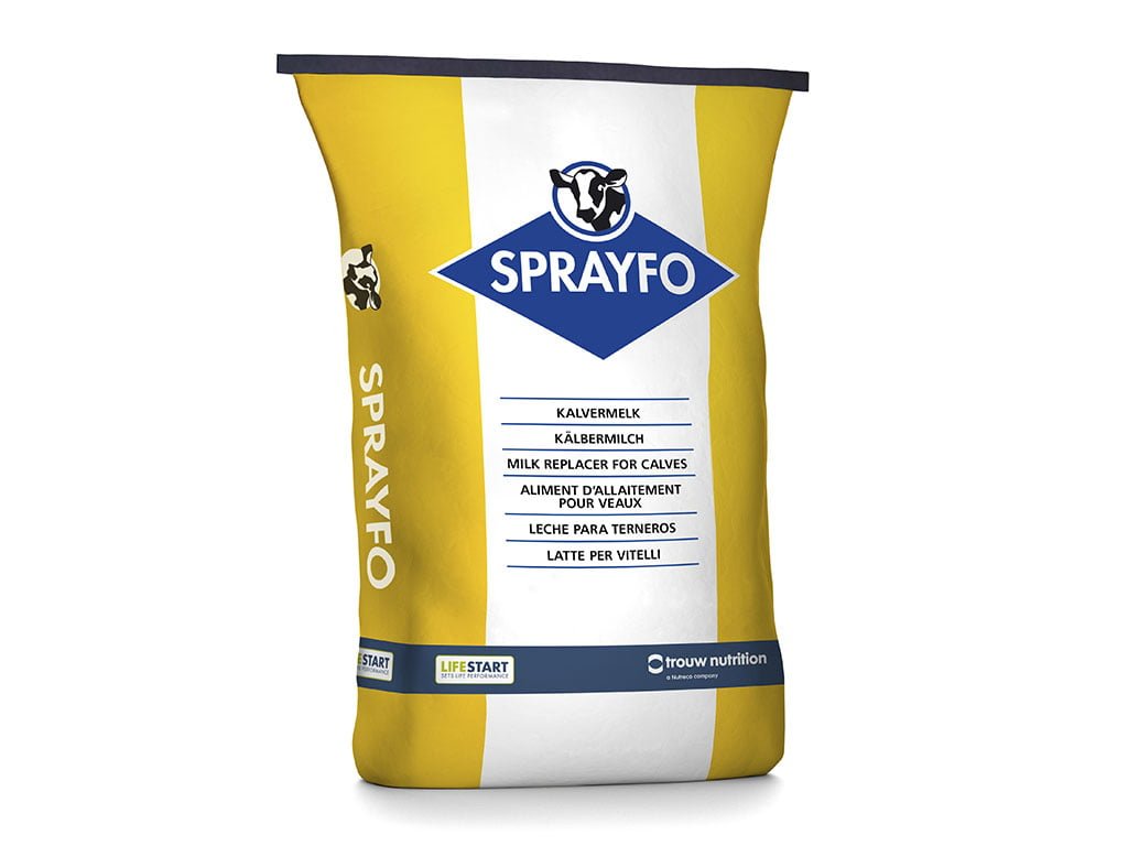 LACTOREEMPLAZADOR SPRAYFO YELLOW